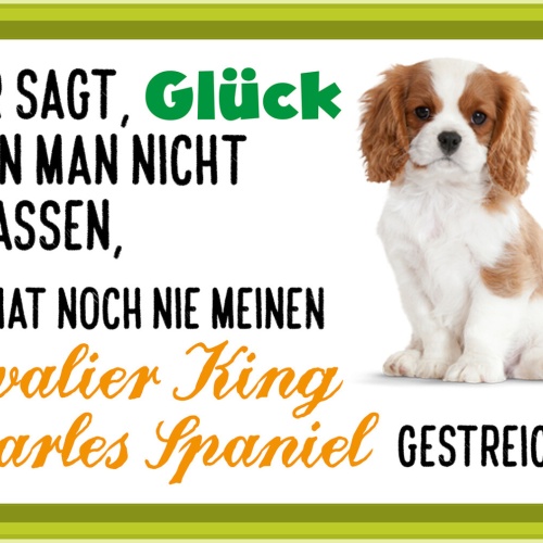 Schild Spruch Wer sagt Glück nicht anfassen nie Cavalier King Charles Spaniel JW