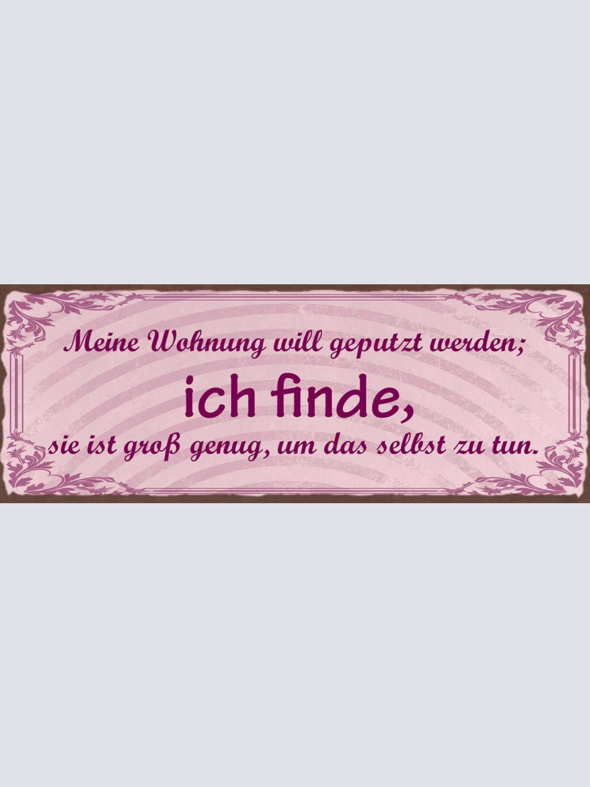 Schild Meine Wohnung Will Geputzt Werden Finde Sie Ist Groß Genug Selbst Zu Tun