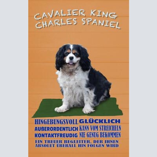 Schild spruch cavalier king charles spaniel steckbrief hingebungsvoll hund jw