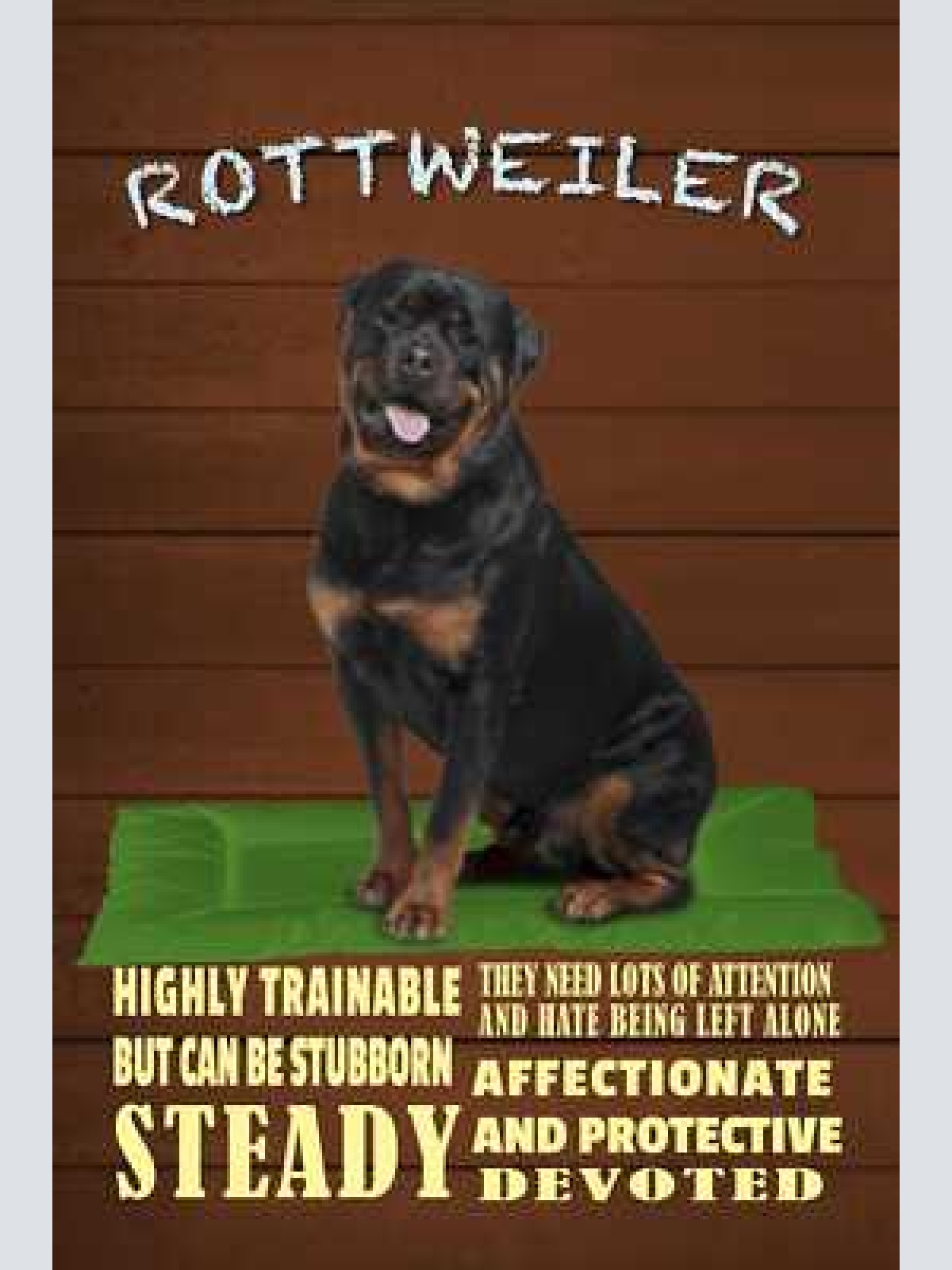 Schild spruch rottweiler steckbrief highl trainable gut trainierbar hund jw