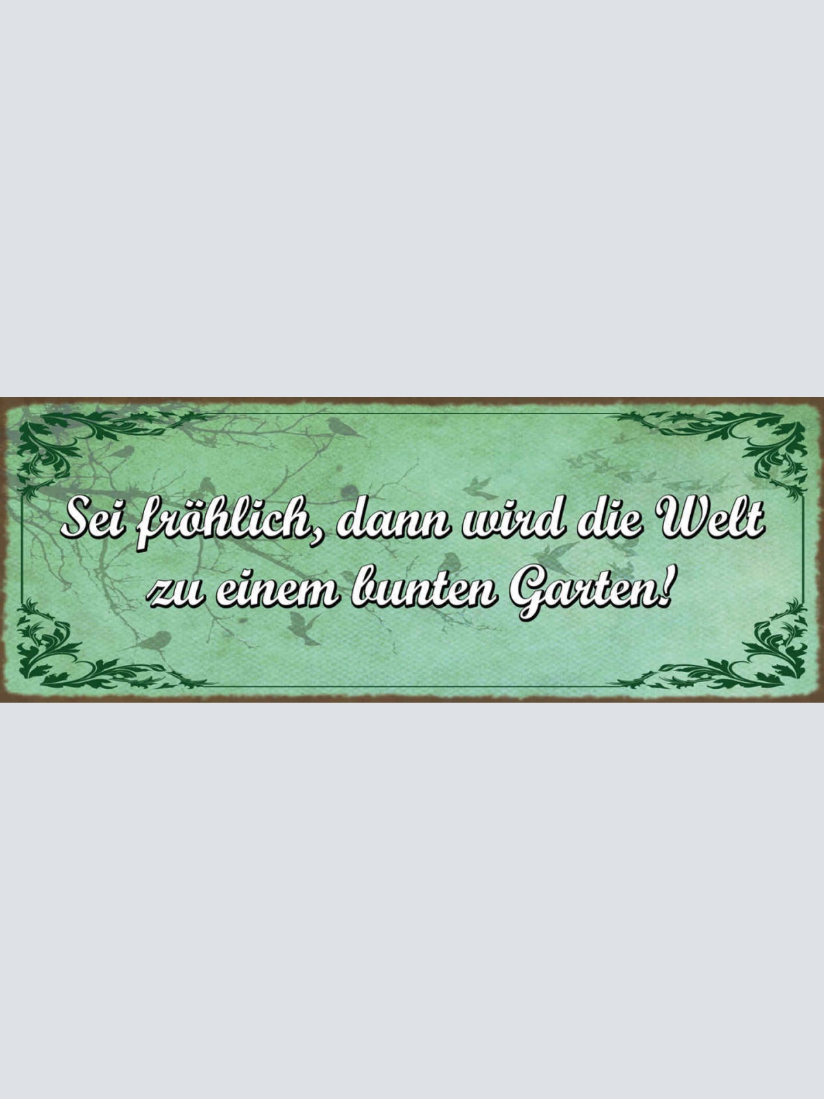 Schild Sei Fröhlich Dann Wird Die Welt Zu Einem Bunten Garten Froh Leben 27x10