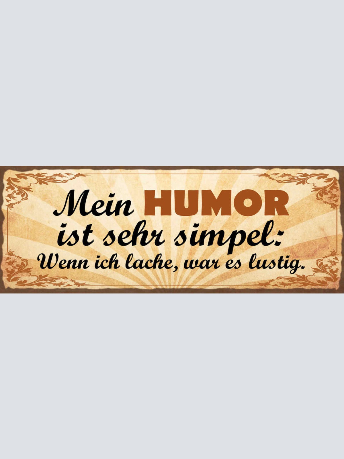 Schild Mein Humor Ist Sehr Simpel Wenn Ich Lache War Es Lustig Spaß 27x10