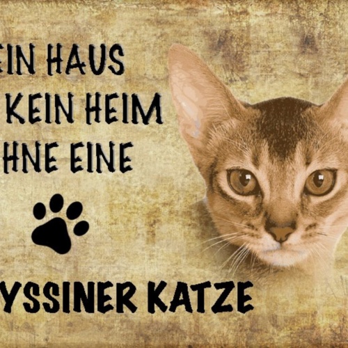 Schild Spruch Haus ist kein Heim ohne Abyssiner Katze JW