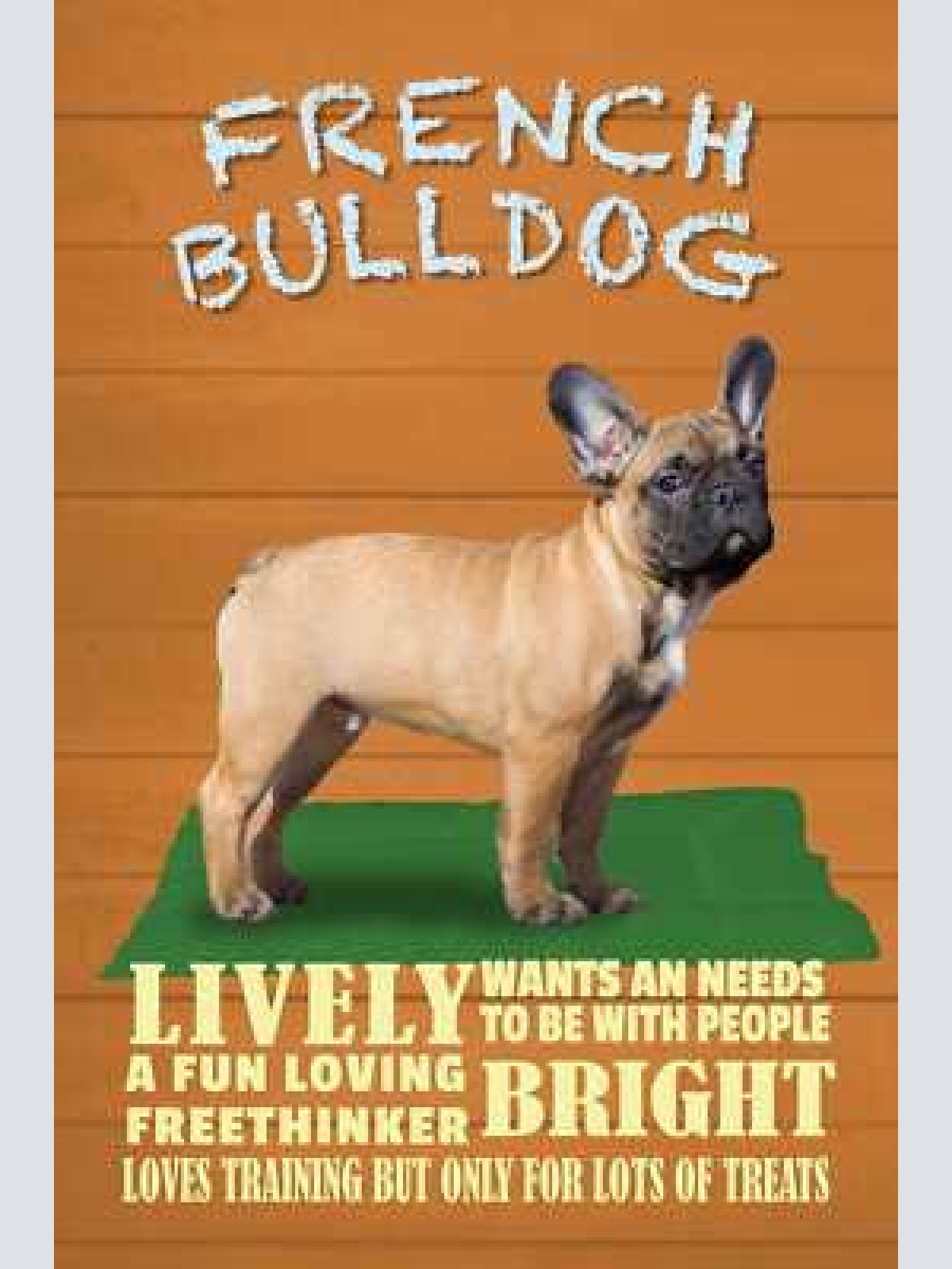 Schild spruch french bulldog steckbrief lively lebhaft hund jw