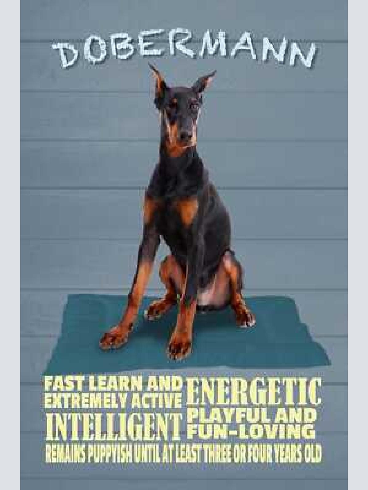 Schild spruch dobermann steckbrief playful verspielt hund jw