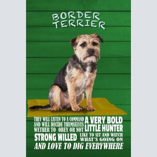 Schild spruch border terrier steckbrief little hunter kleiner jäger hund jw