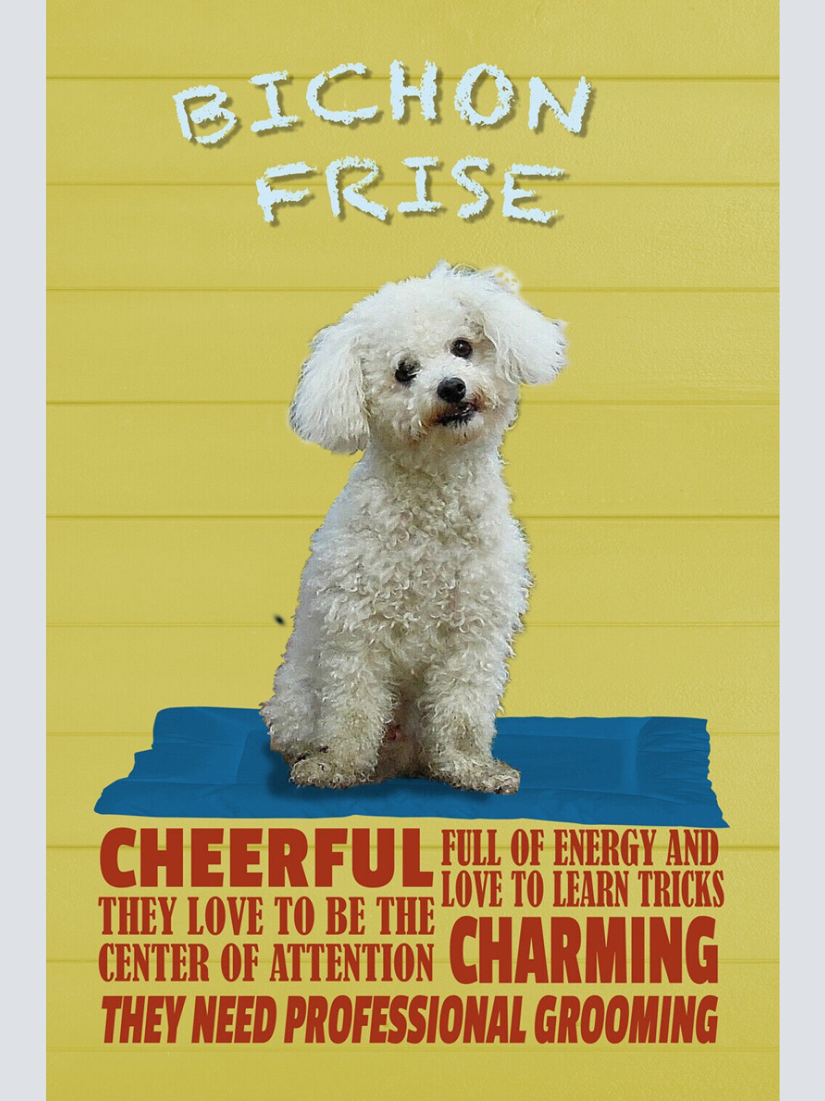 Schild Spruch Bichon Frise Steckbrief Charming Charmant Hund JW