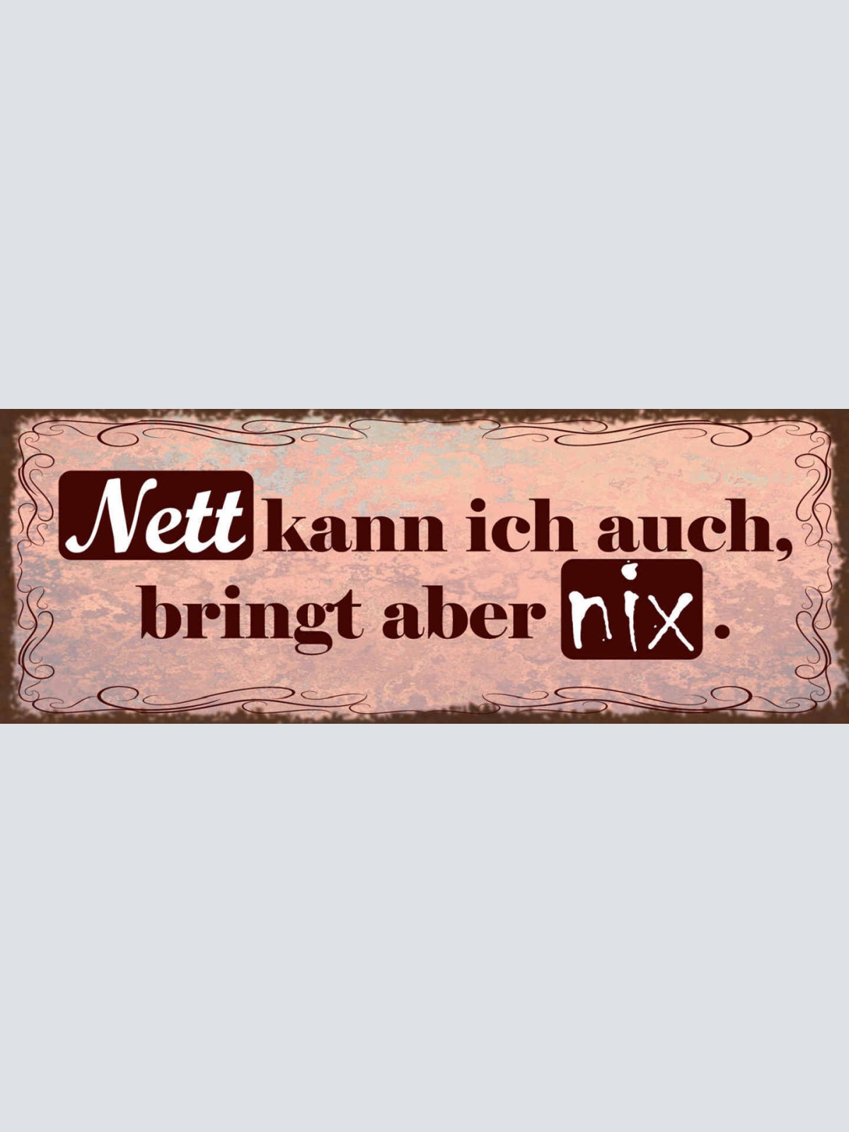 Schild Nett Kann Ich Auch Bringt Aber Nix Freundlich Sein 27x10 Blech od.Holz