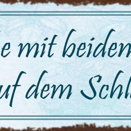 Schild Ich Stehe Mit Beiden Beinen Fest Auf Dem Schlauch 27x10 Blech od.Holz