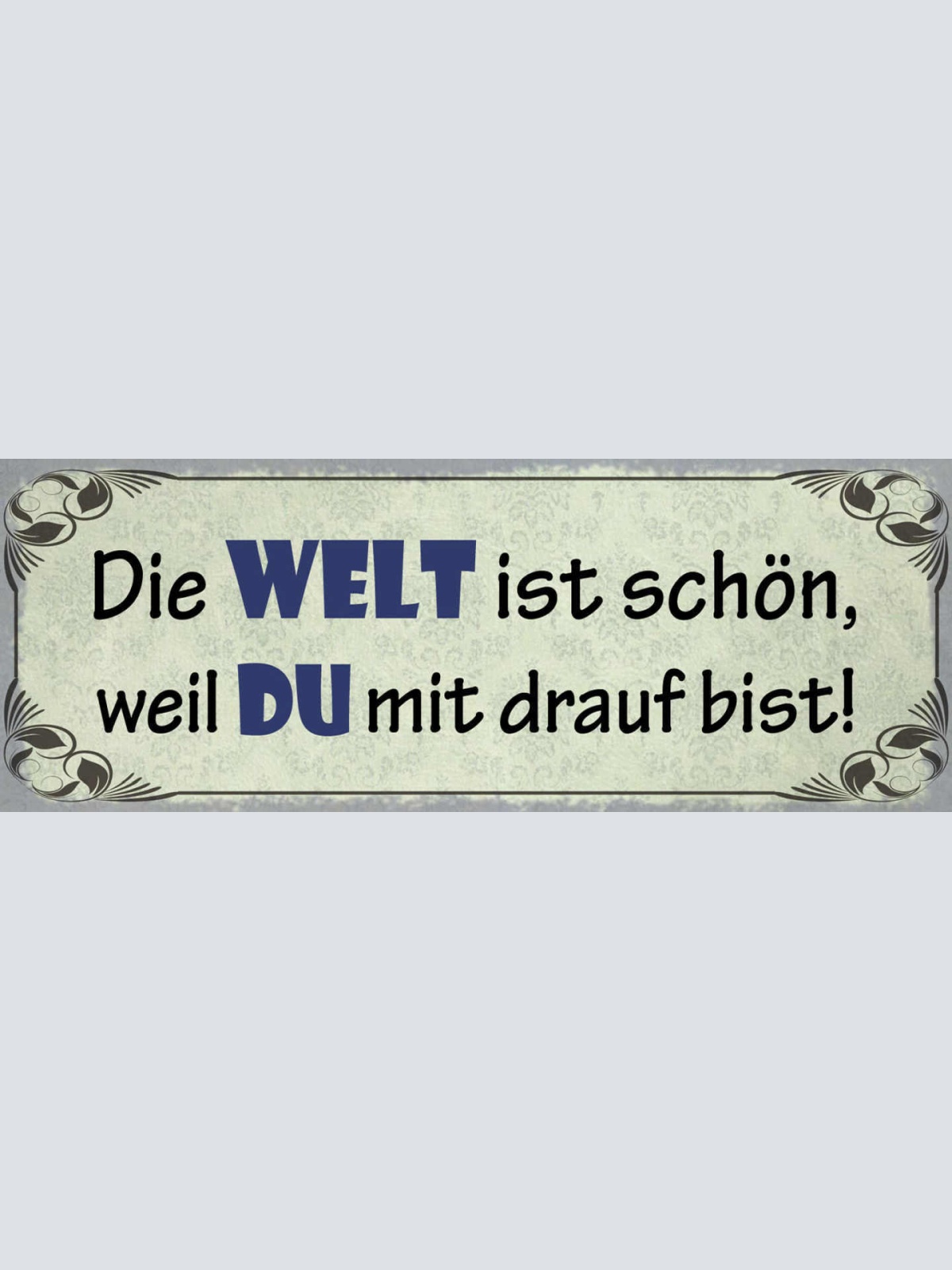Schild Die Welt Ist Besser Weil Du Mit Drauf Bist Liebe 27x10 Blech od.Holz