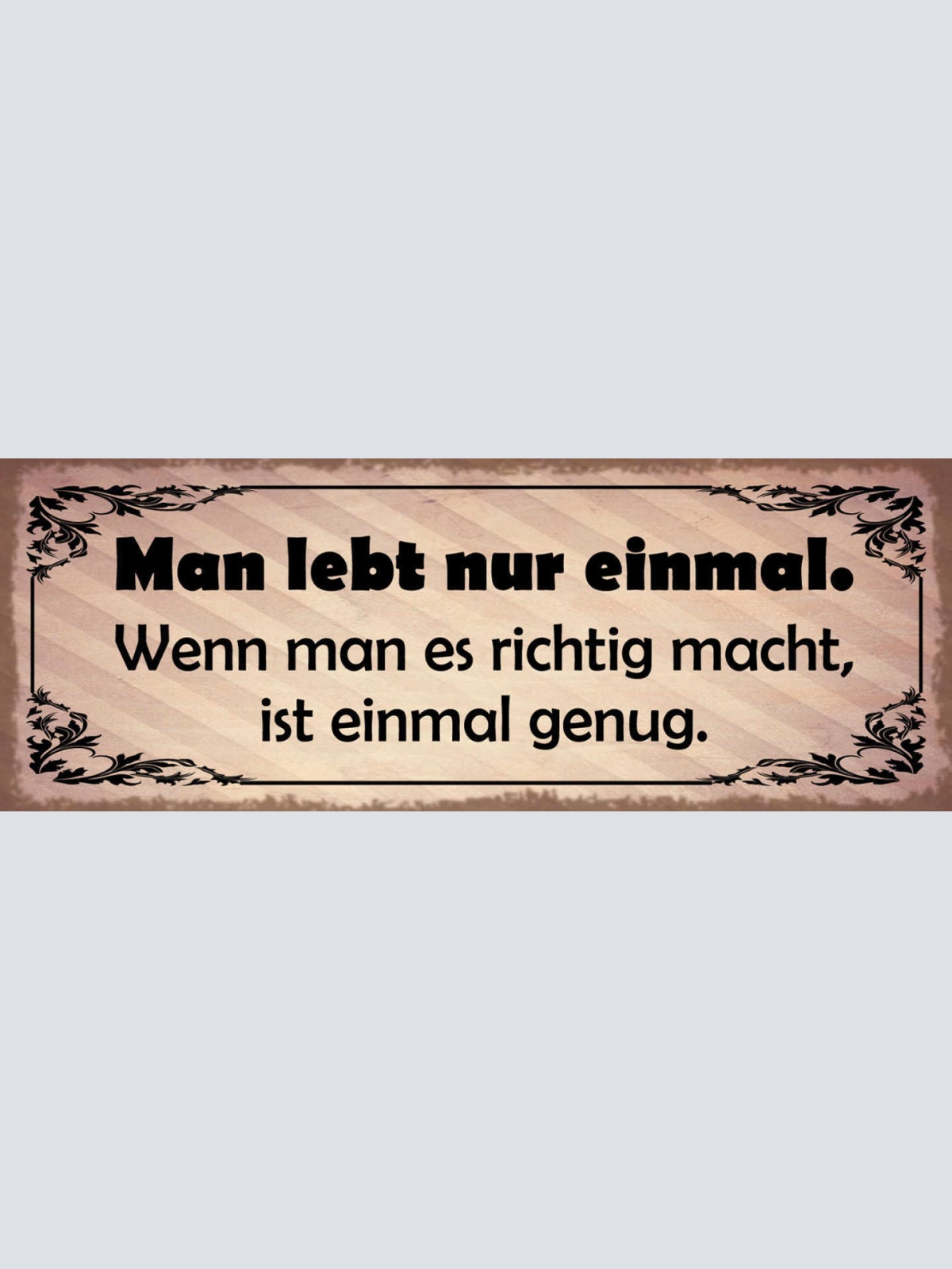 Schild Man Lebt Nur Einmal Wenn Man Es Richtig Macht Ist Einmal Genug 27x10