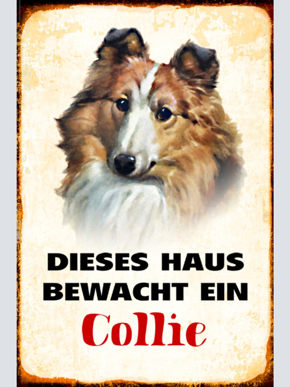 Schild Spruch Dieses Haus bewacht ein Collie Hund JW