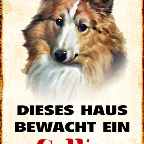 Schild Spruch Dieses Haus bewacht ein Collie Hund JW