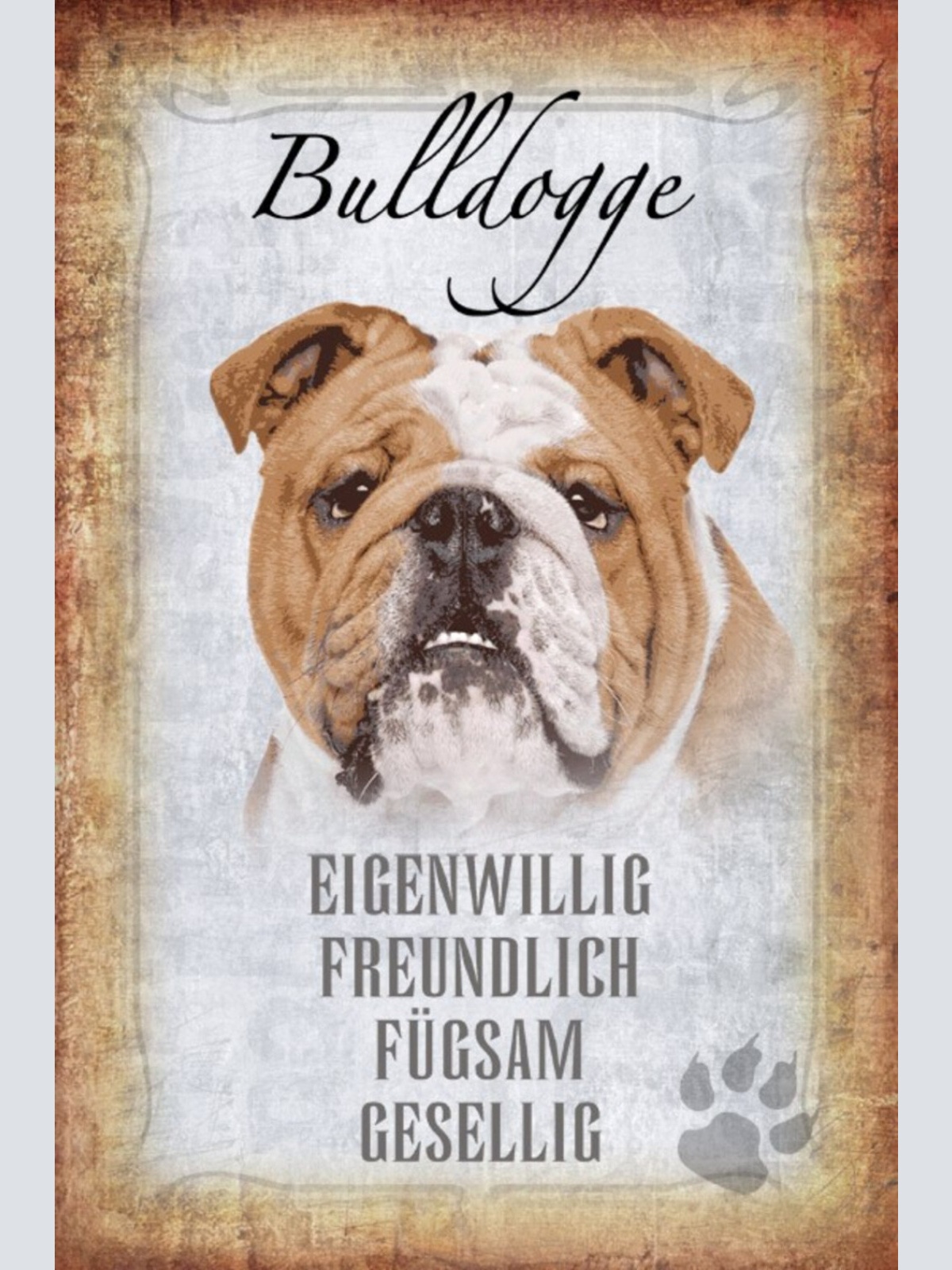 Schild Spruch Bulldogge Hund Steckbrief Eigenwillig Freundlich JW