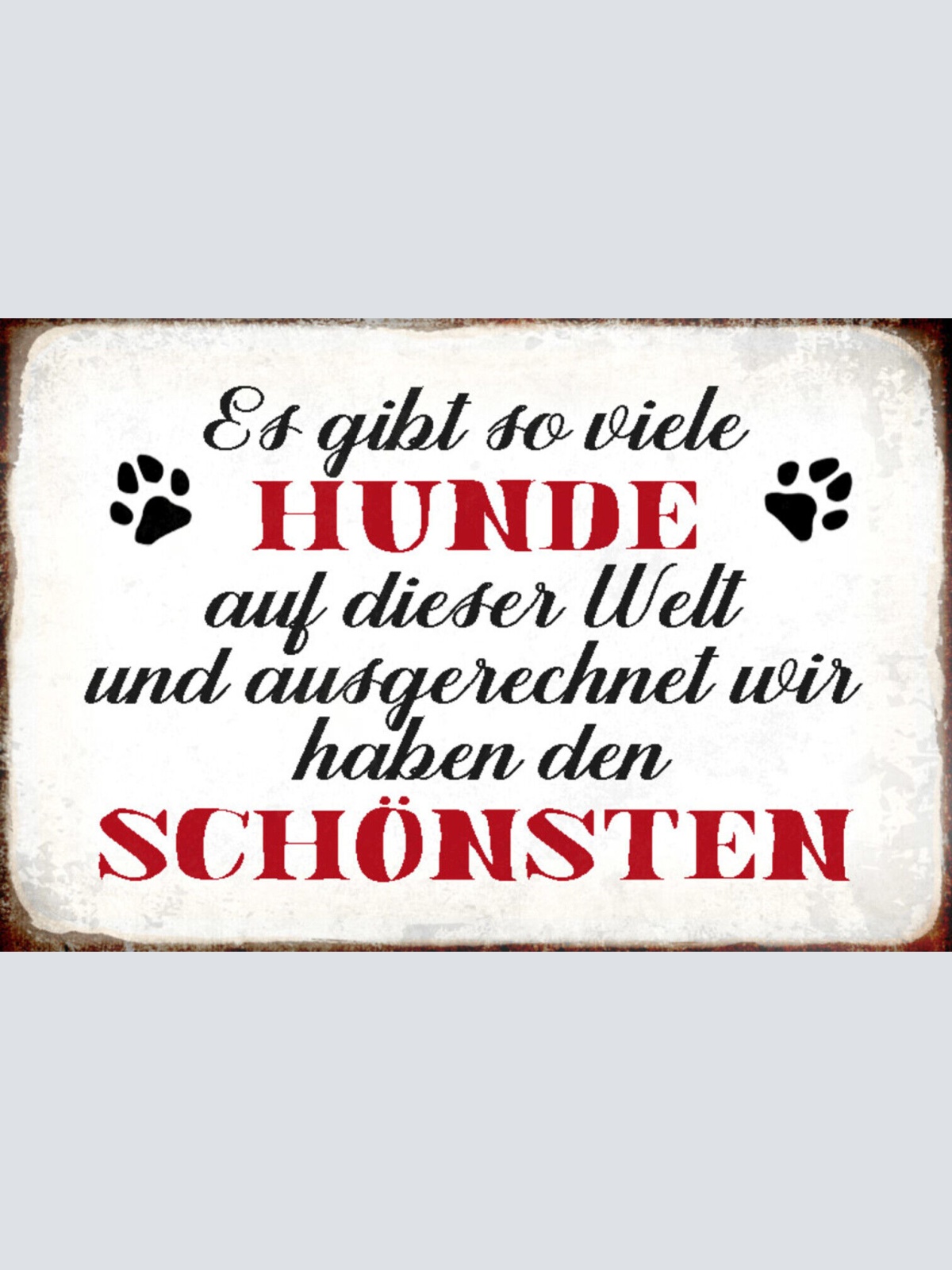 Schild Spruch Gibt so viele Hunde ausgerechnet wir haben den schönsten JW