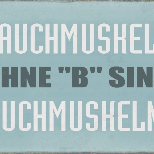 Schild Spruch Bauchmuskeln ohne B sind Auchmuskeln Sport JW