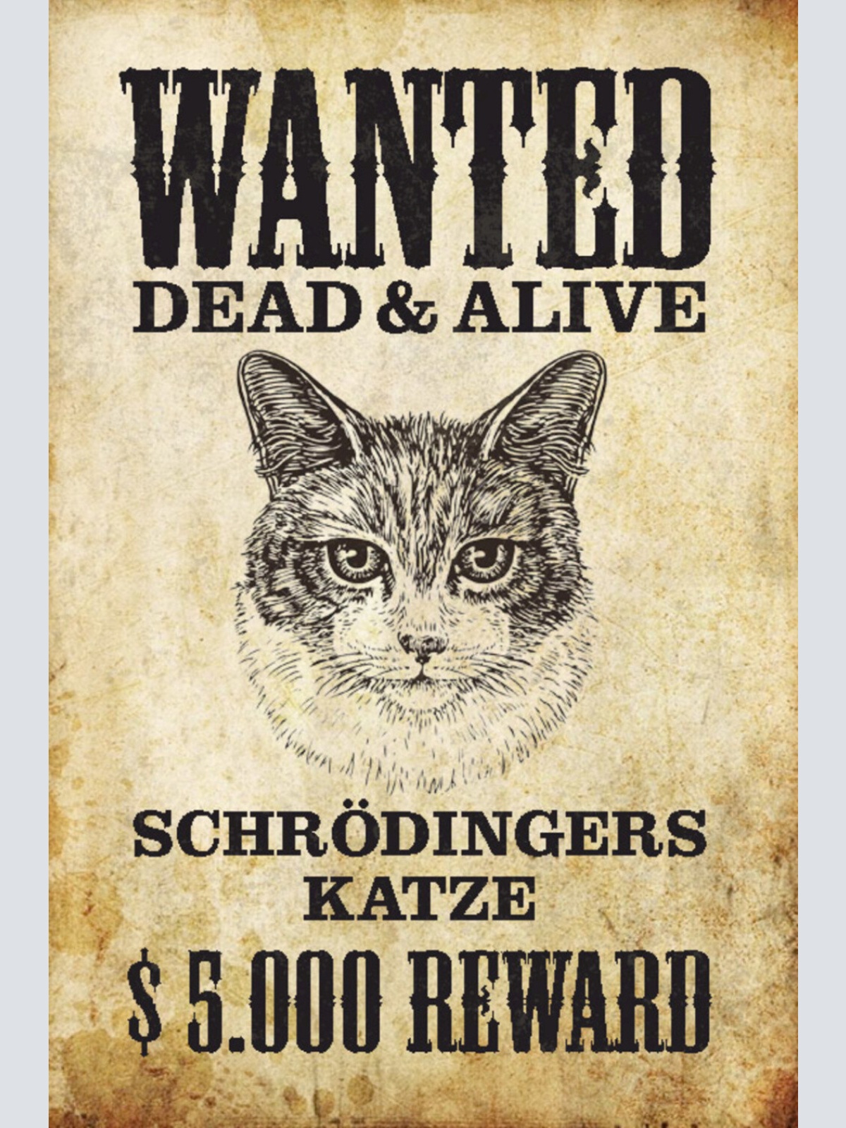 Schild Spruch Wanted Dead or Alive Gesucht Tot Lebend Schrödingers Katze JW