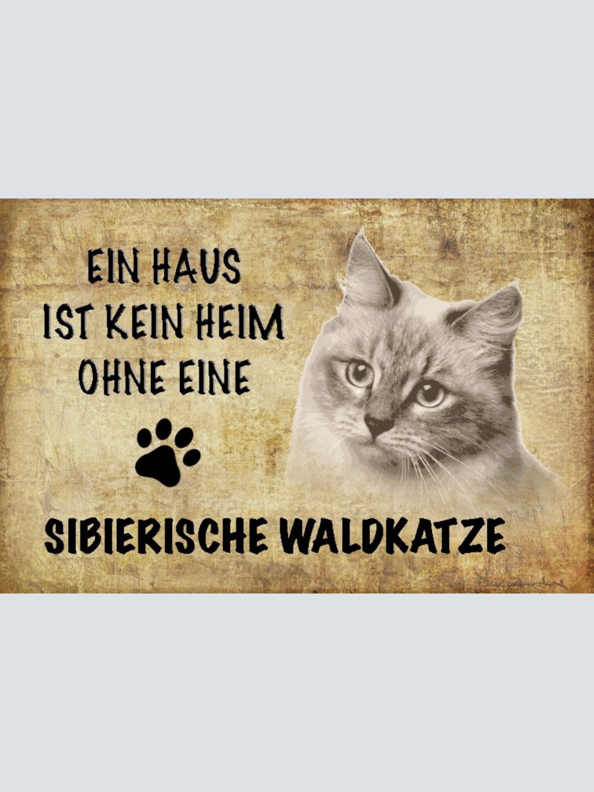Schild Spruch Haus ist kein Heim ohne Sibierische Waldkatze JW
