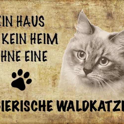 Schild Spruch Haus ist kein Heim ohne Sibierische Waldkatze JW