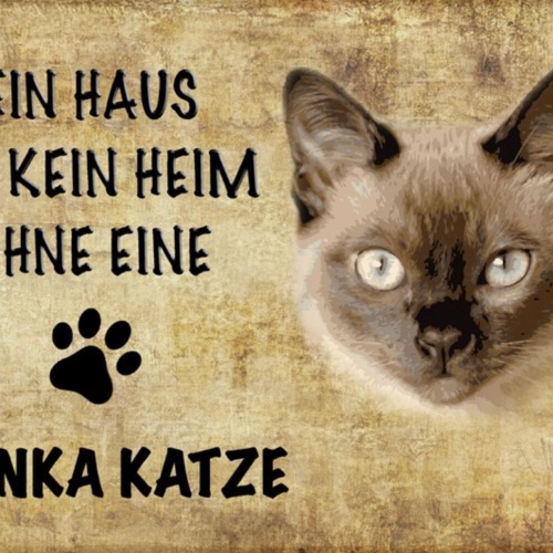 Schild Spruch Haus ist kein Heim ohne Tonka Katze JW