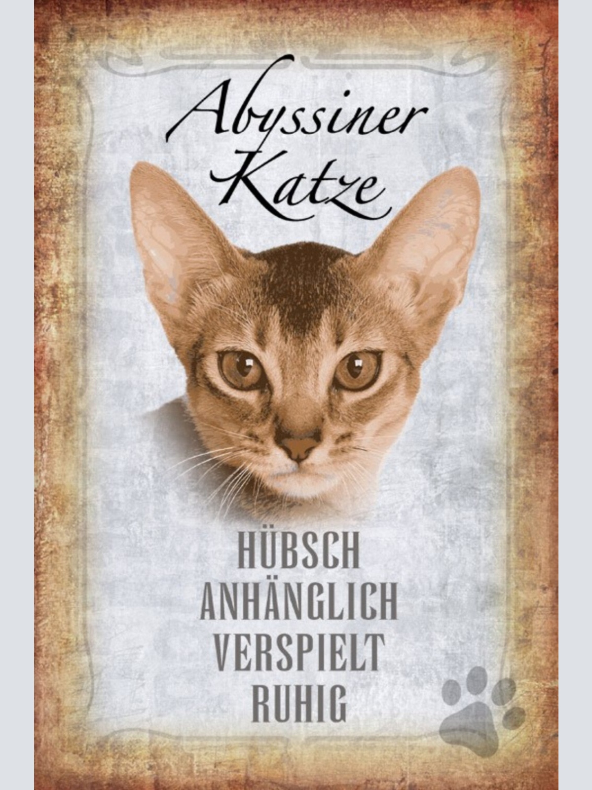 Schild Spruch Abyssiner Katze Steckbrief Hübsch Verspiel Ruhig JW
