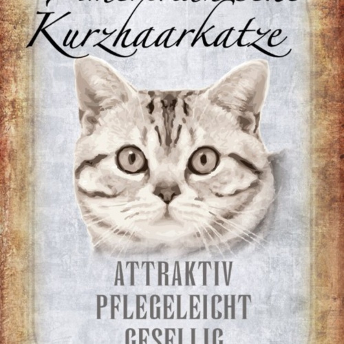 Schild Spruch Amerikanischer Kurzhaarkatze Steckbrief Attraktiv Gesellig JW