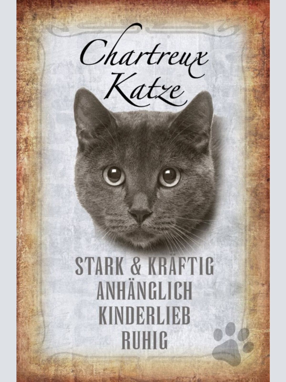 Schild Spruch Chartreux Katze Steckbrief Anhänglich Kinderlieb JW