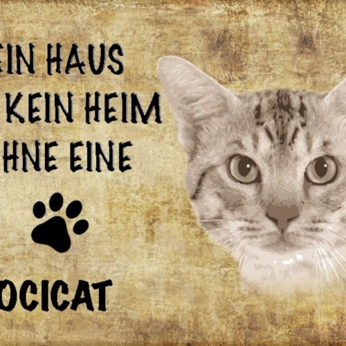 Schild Spruch Haus ist kein Heim ohne Ocicat Katze JW