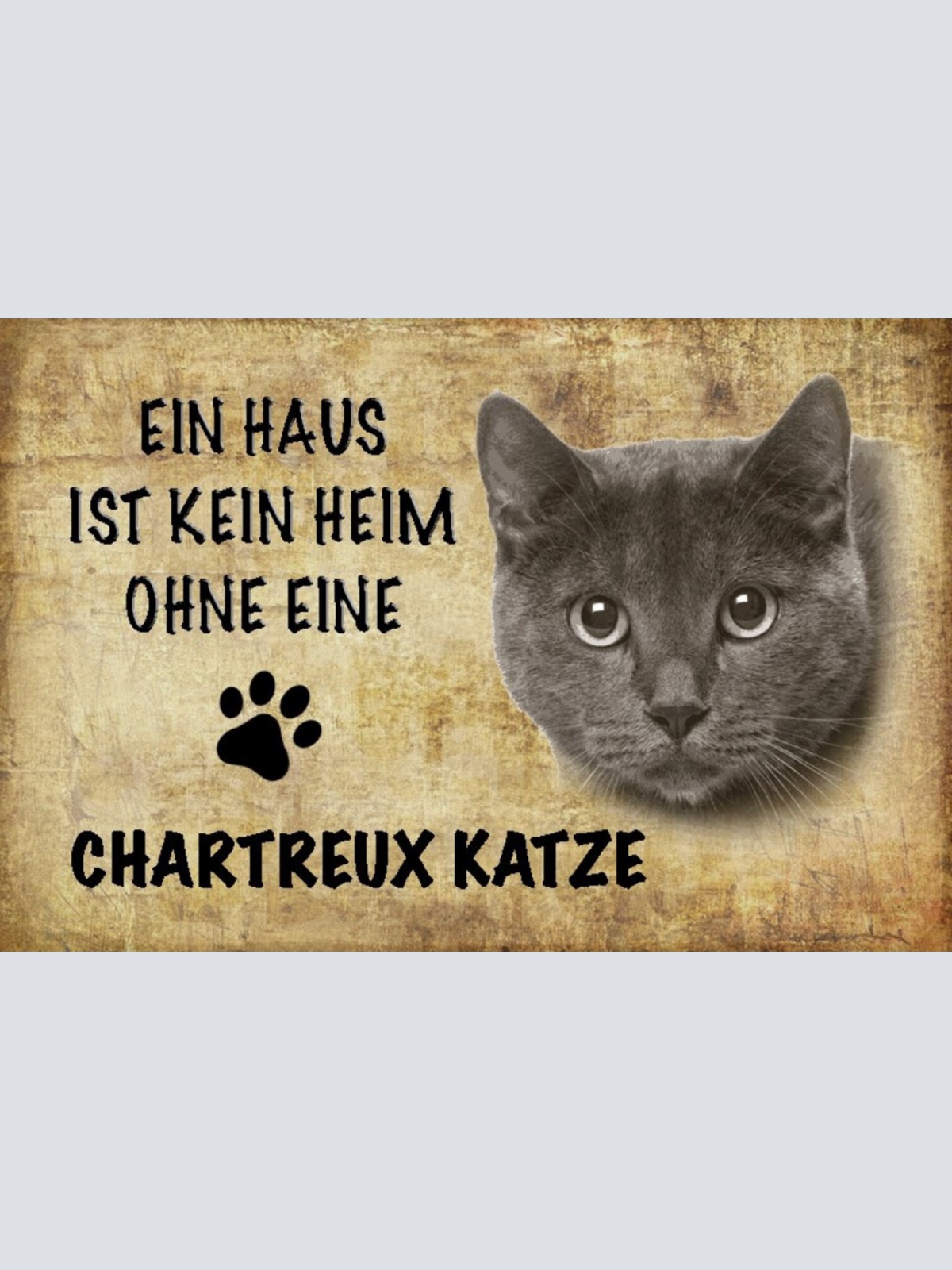 Schild Spruch Haus ist kein Heim ohne Chartreux Katze JW