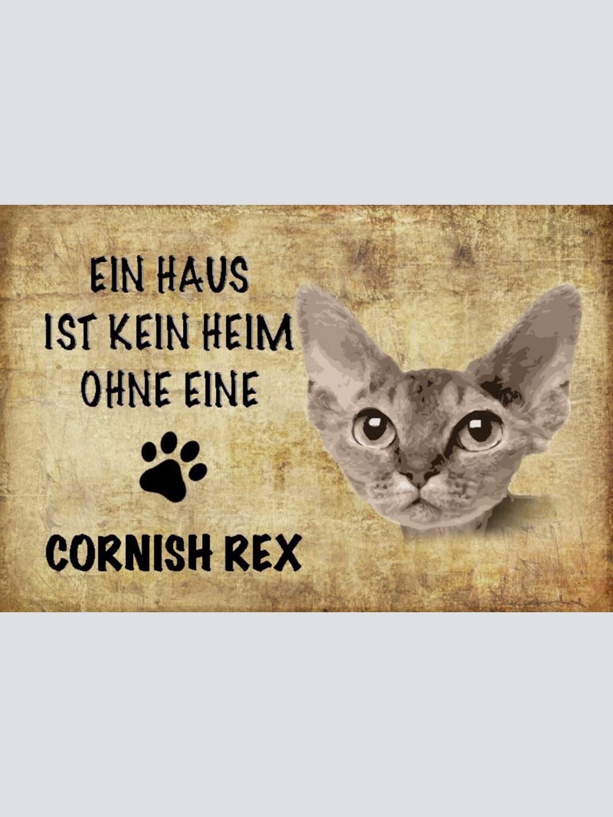 Schild Spruch Haus ist kein Heim ohne Cornish Rex Katze JW