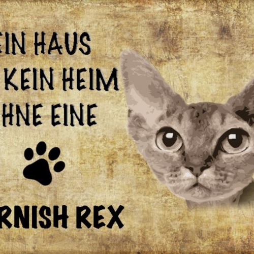 Schild Spruch Haus ist kein Heim ohne Cornish Rex Katze JW