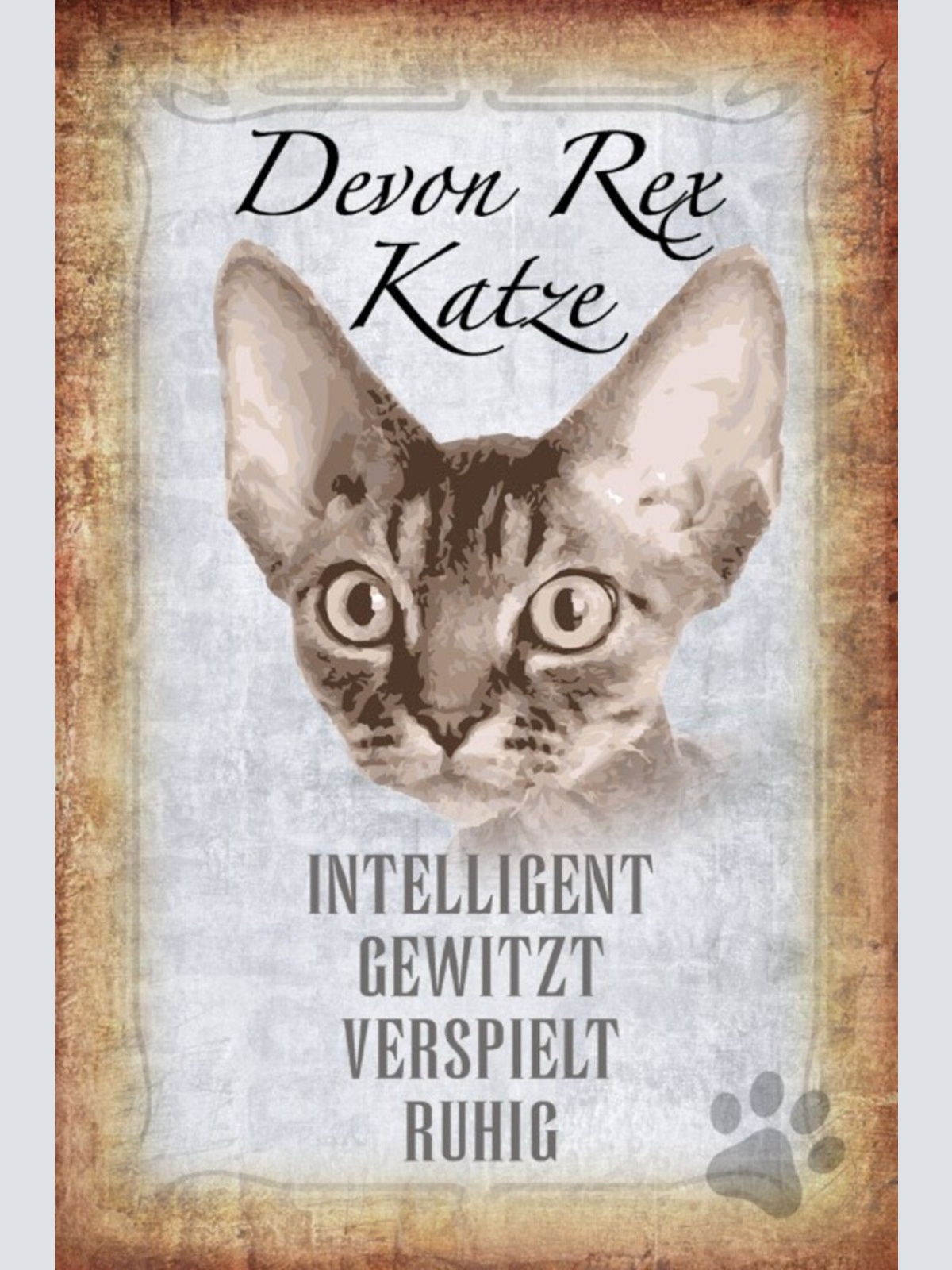 Schild Spruch Devon Rex Katze Steckbrief Intelligent Gewitzt JW