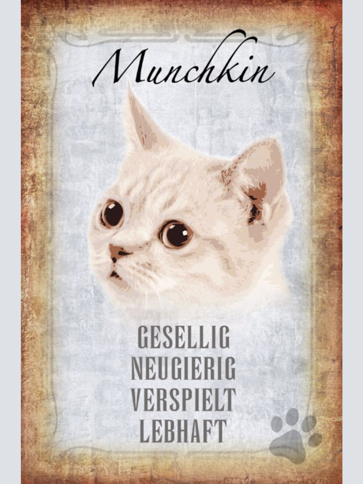 Schild Spruch Munchkin Katze Steckbrief Gesellig Neugierig JW
