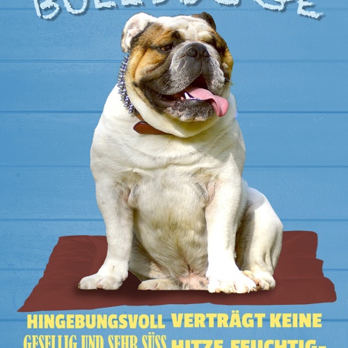 Schild Spruch Englische Bulldogge Hingebungsvoll Freundlich Hund JW