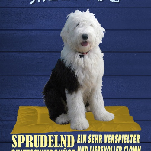 Schild Spruch Old English Sheepdog Steckbrief Sprudelnd Quietschvergnügt Hund JW