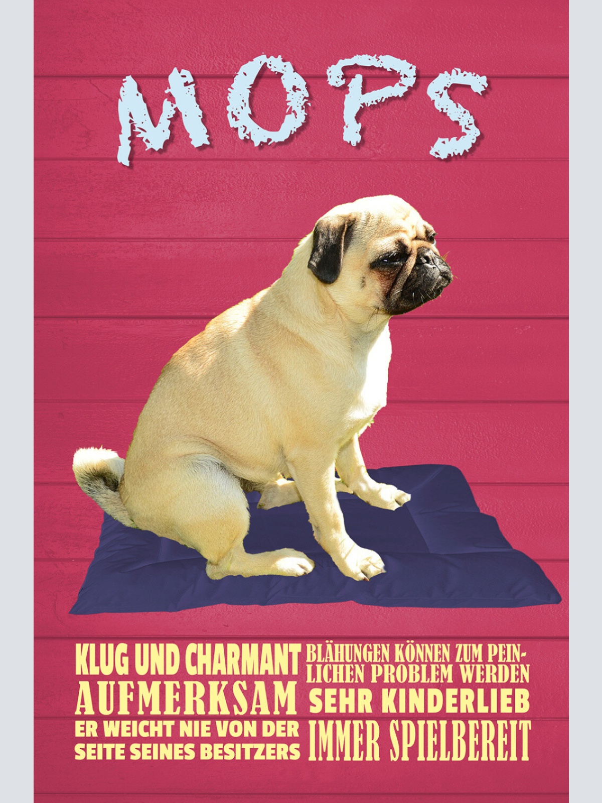 Schild Spruch Mops Steckbrief Klug und Charmant Aufmerksam Hund JW