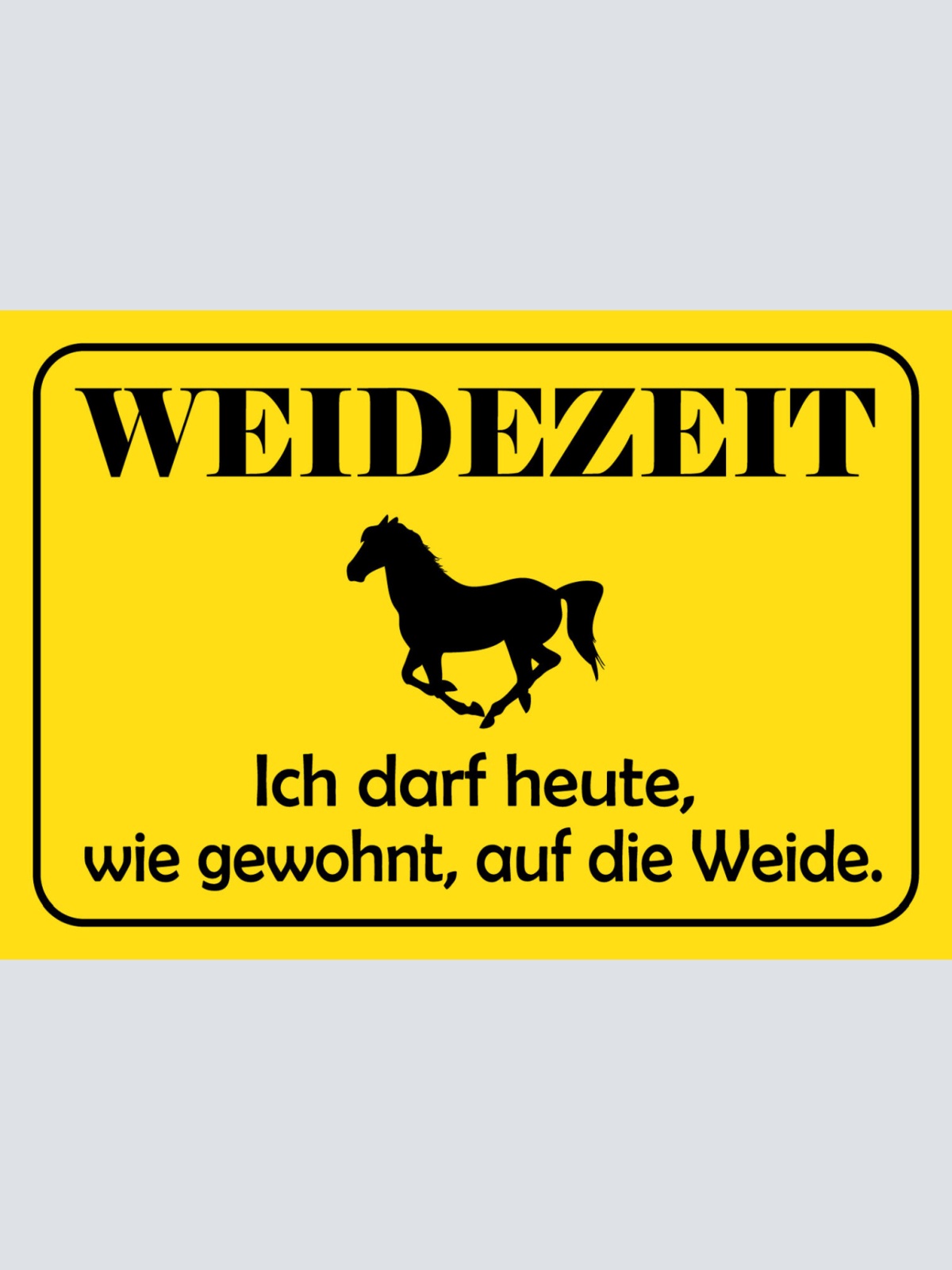 Schild Spruch Weidezeit Pferd Ich darf heute wie gewohnt auf die Weide JW