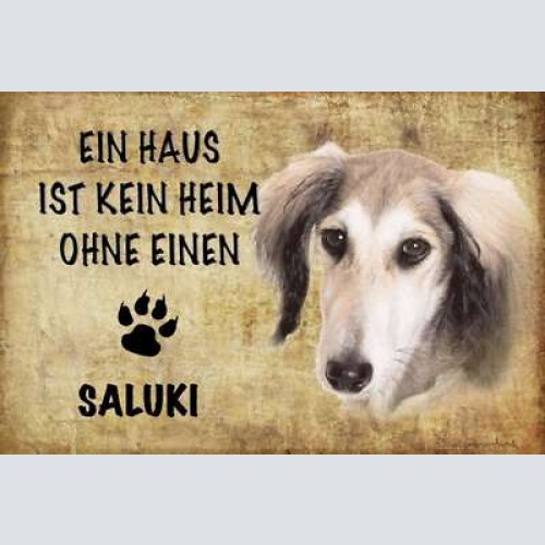 Schild spruch haus ist keine heim ohne saluki hund jw