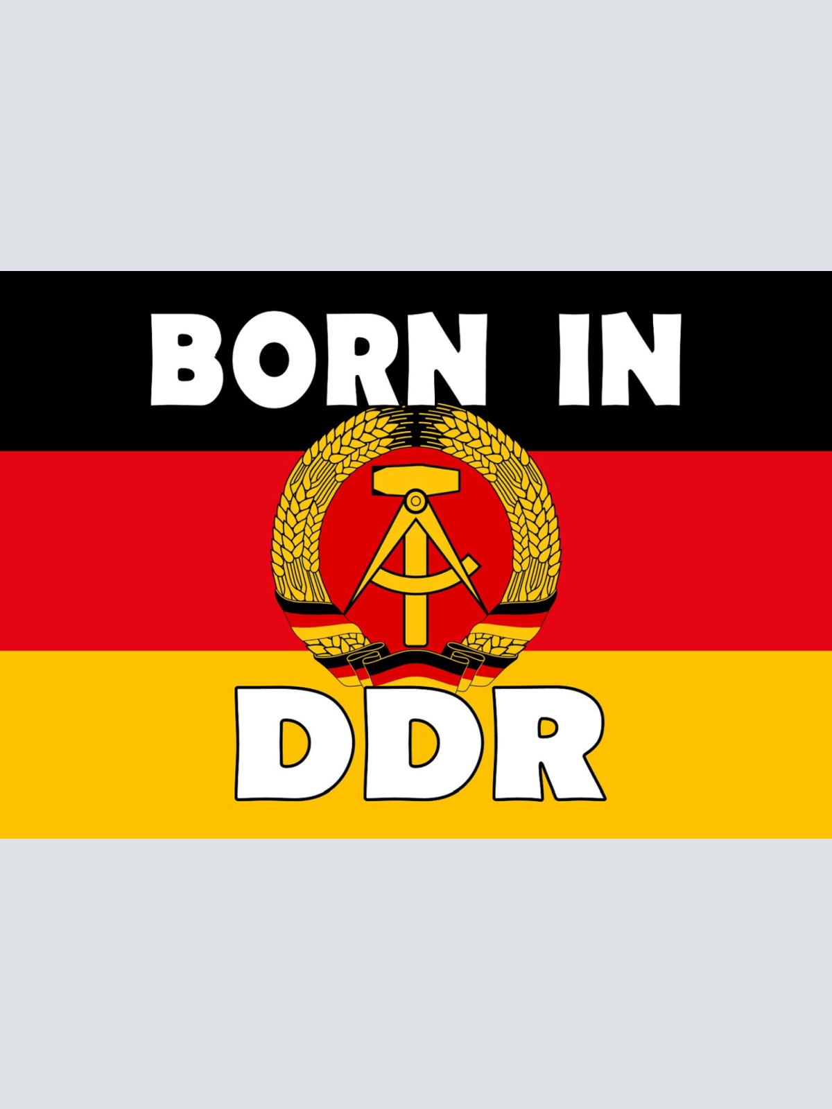 Schild Spruch Born in DDR Geboren in der DDR Nationalflagge Hammer und Zirkel JW