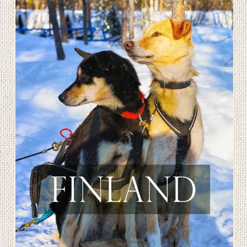 Schild Spruch Finland Finnland Schlittenhunde Wald Schnee Winter JW