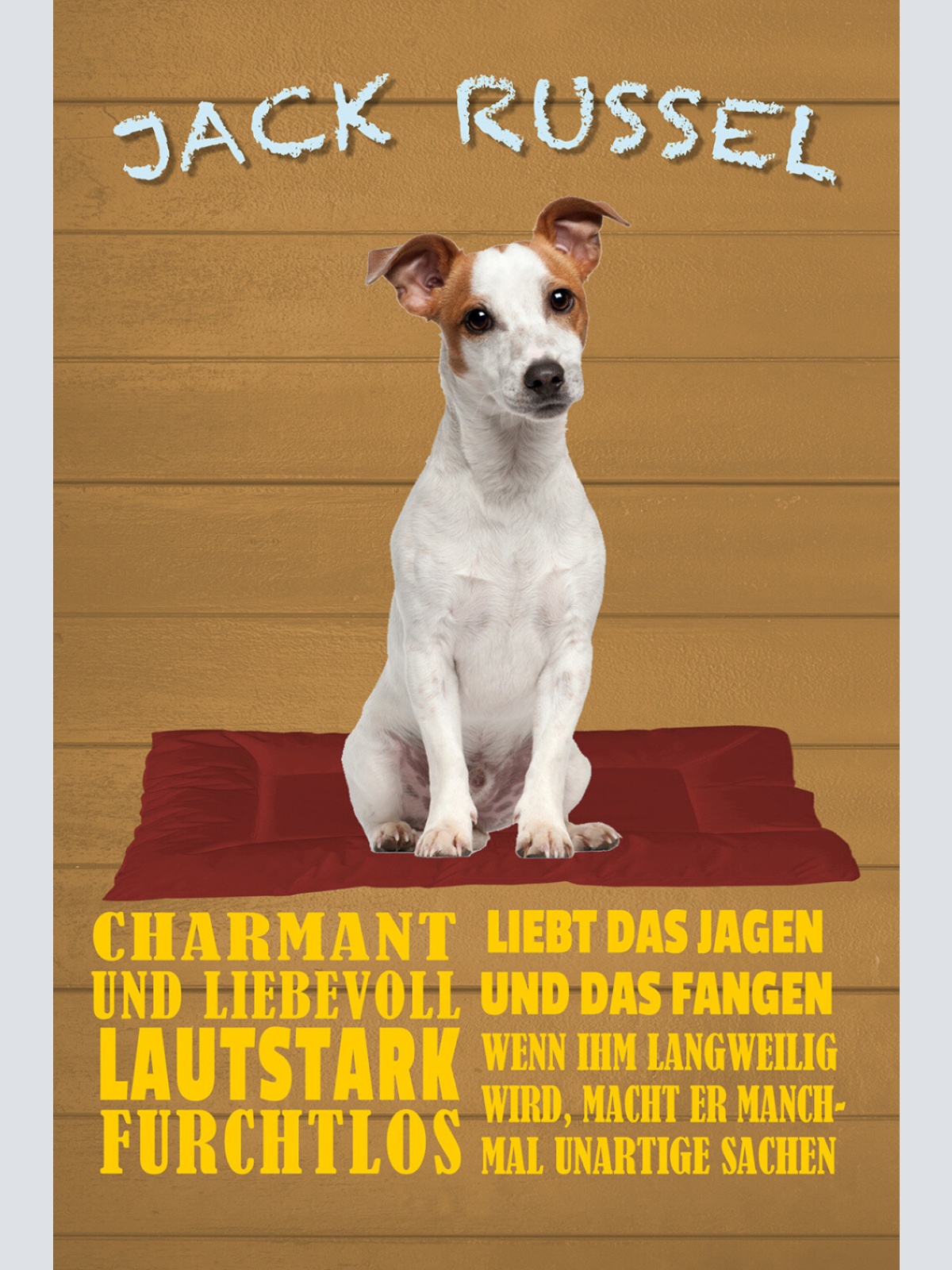 Schild Spruch Jack Russel Steckbrief Charmant Lautstark Liebevoll Hund JW