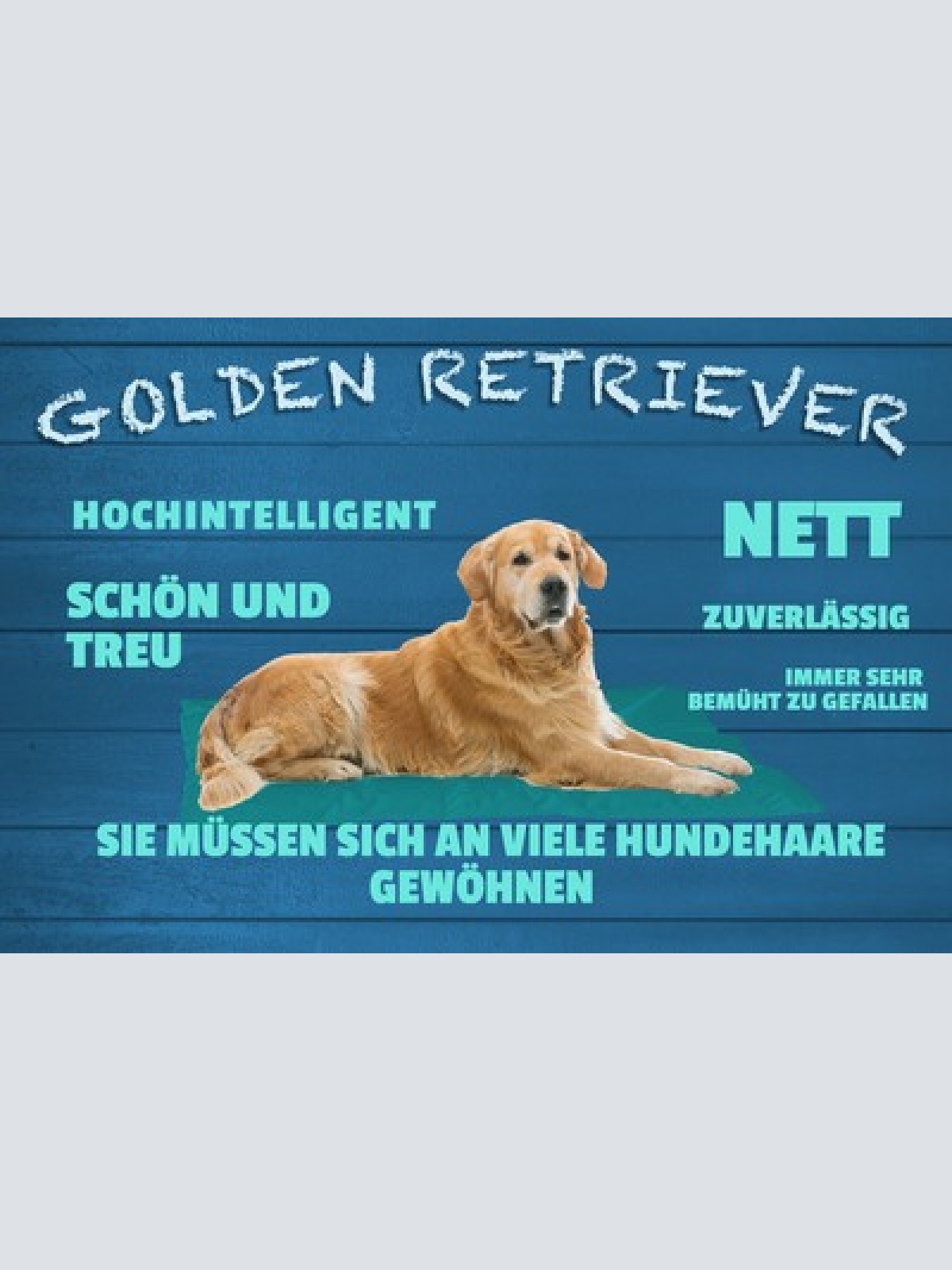 Schild Spruch Golden Retriever Steckbrief Hochintelligent Nett Schön Hund JW