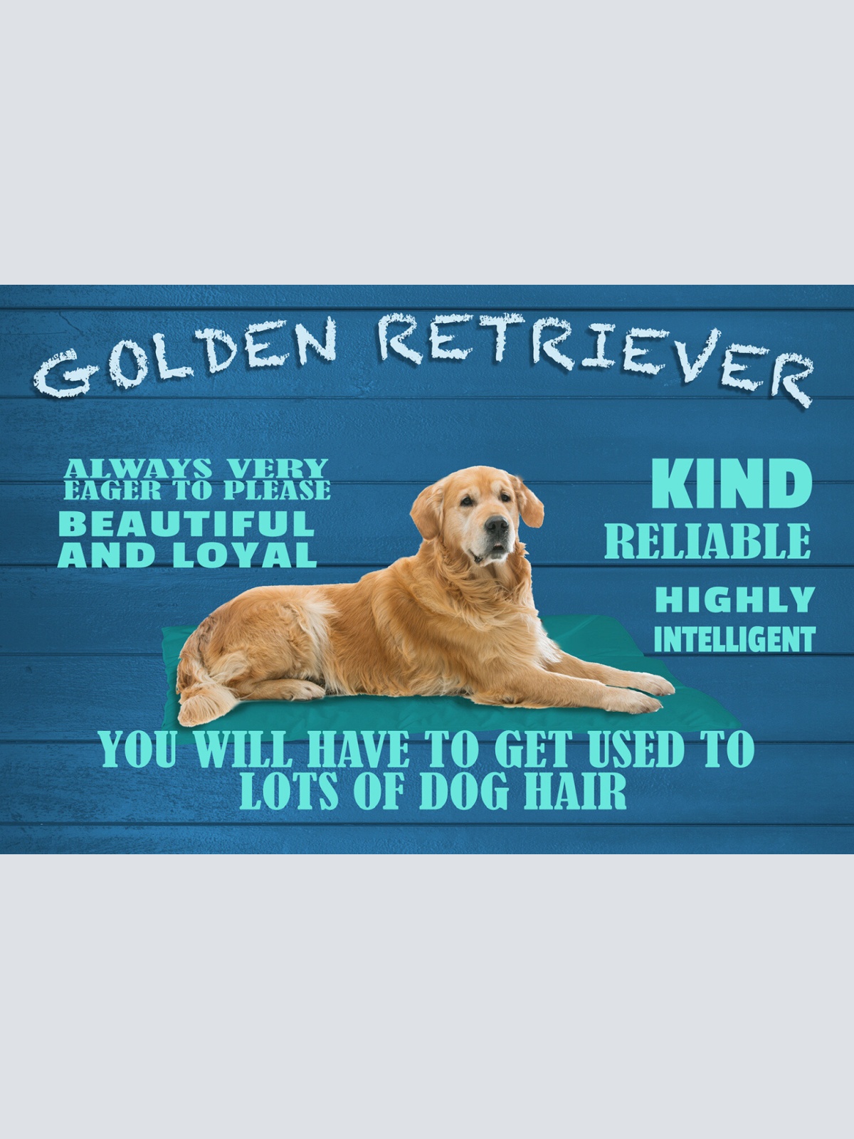 Schild Spruch Golden Retriever Steckbrief Beautiful Hübsch Hund JW