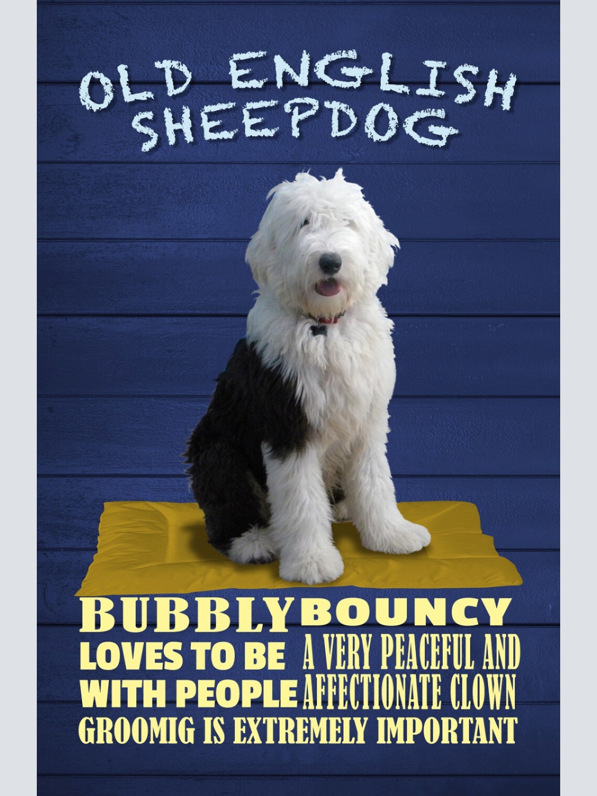 Schild Spruch Old English Sheepdog Steckbrief Peaceful Friedlich Hund JW