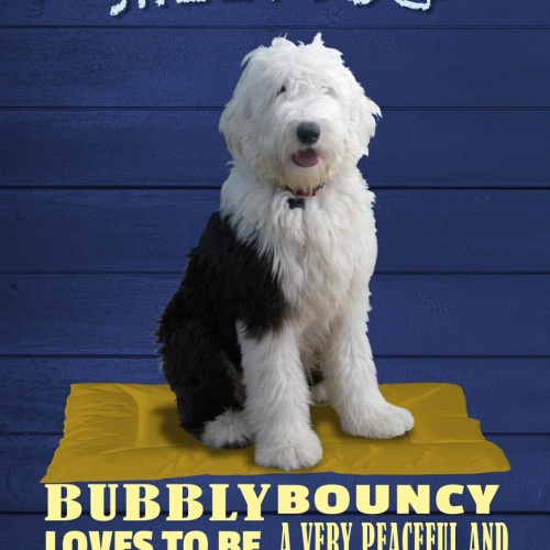 Schild Spruch Old English Sheepdog Steckbrief Peaceful Friedlich Hund JW