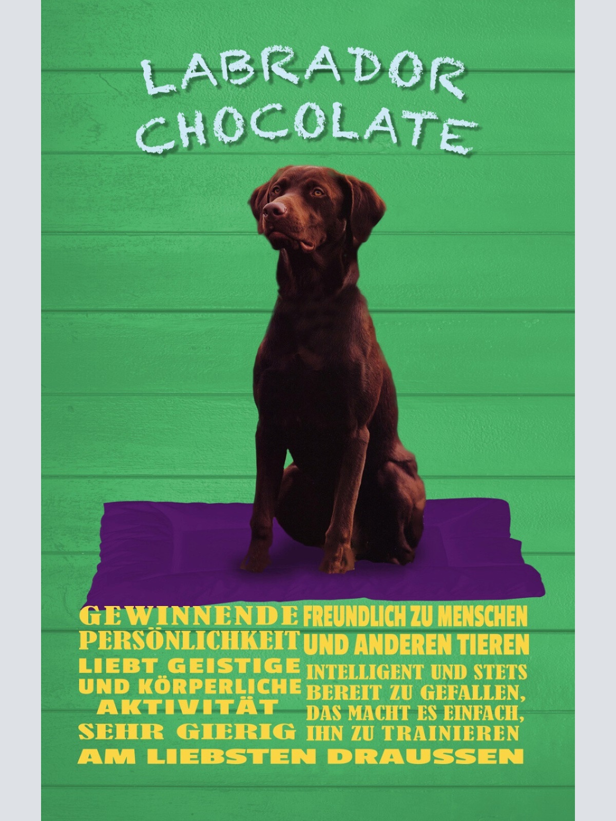 Schild Spruch Labrador Chocolate Persönlickeit Sehr gierig Gewinnend Hund JW