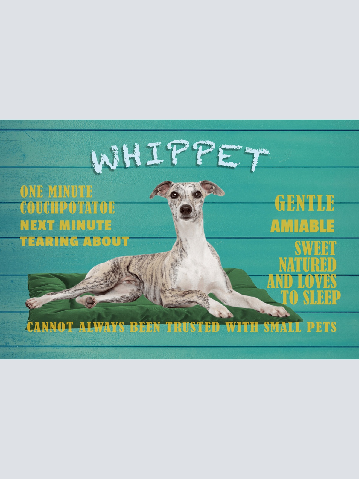 Schild Spruch Whippet Steckbrief Gentle Amiable Nett Freundlich Hund JW