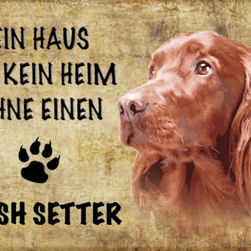 Schild Spruch Haus ist kein Heim ohne Irish Setter Hund JW