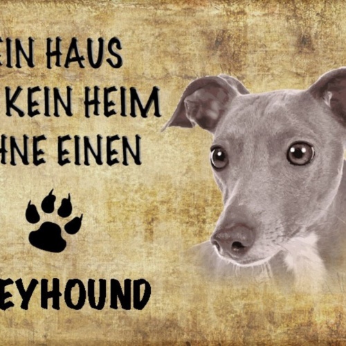 Schild Spruch Haus ist kein Heim ohne Greyhound Hund JW