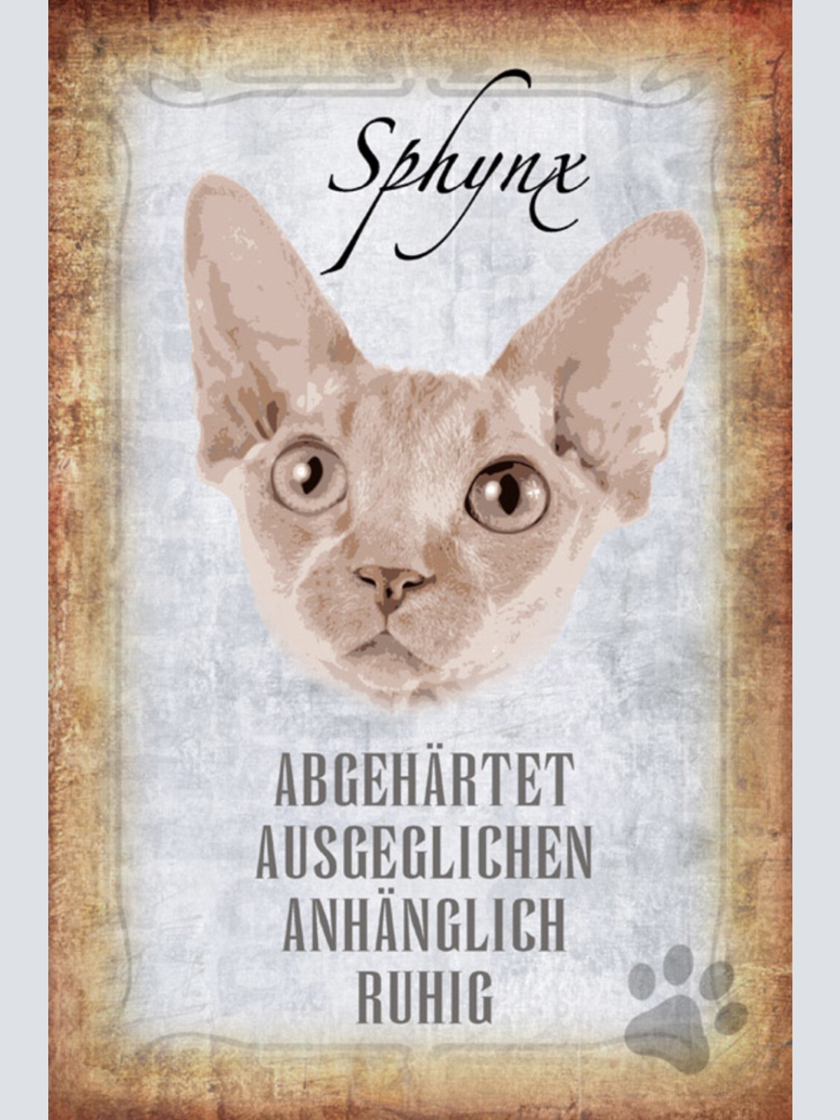 Schild Spruch Sphynx Katze Steckbrief Abgehärtet Ausgeglichen JW